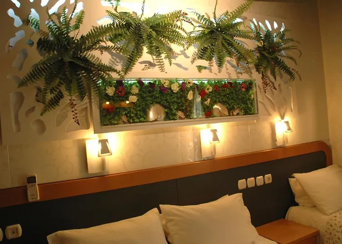 Hotel Segas 2*